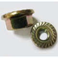 Hex Flange Nut DIN 6923 with Zinc-Plated